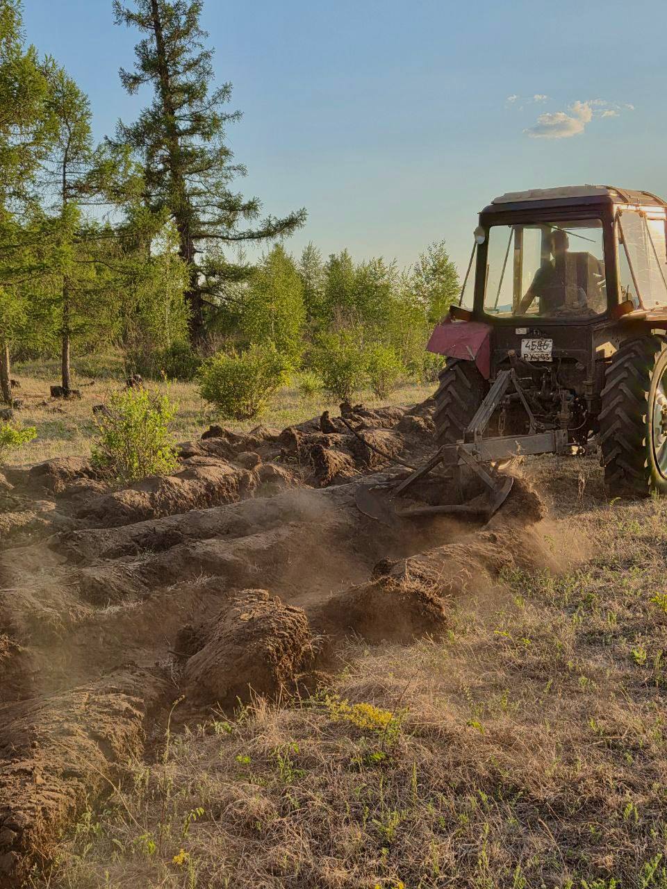 Фото Почти 300 человек сражаются с огнём в лесах Бурятии