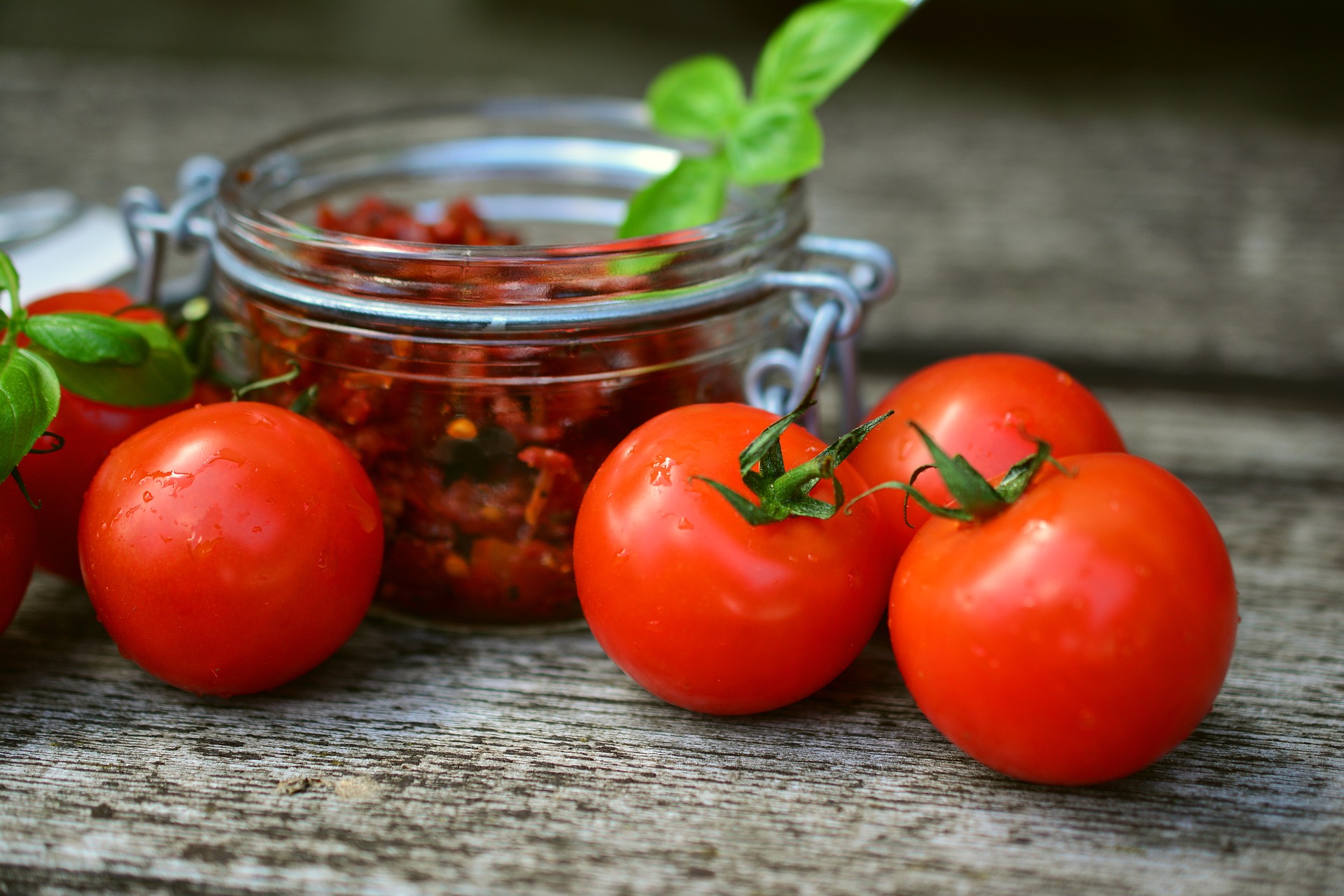 Фото Учёные обнаружили уникальный способ повысить урожайность томатов