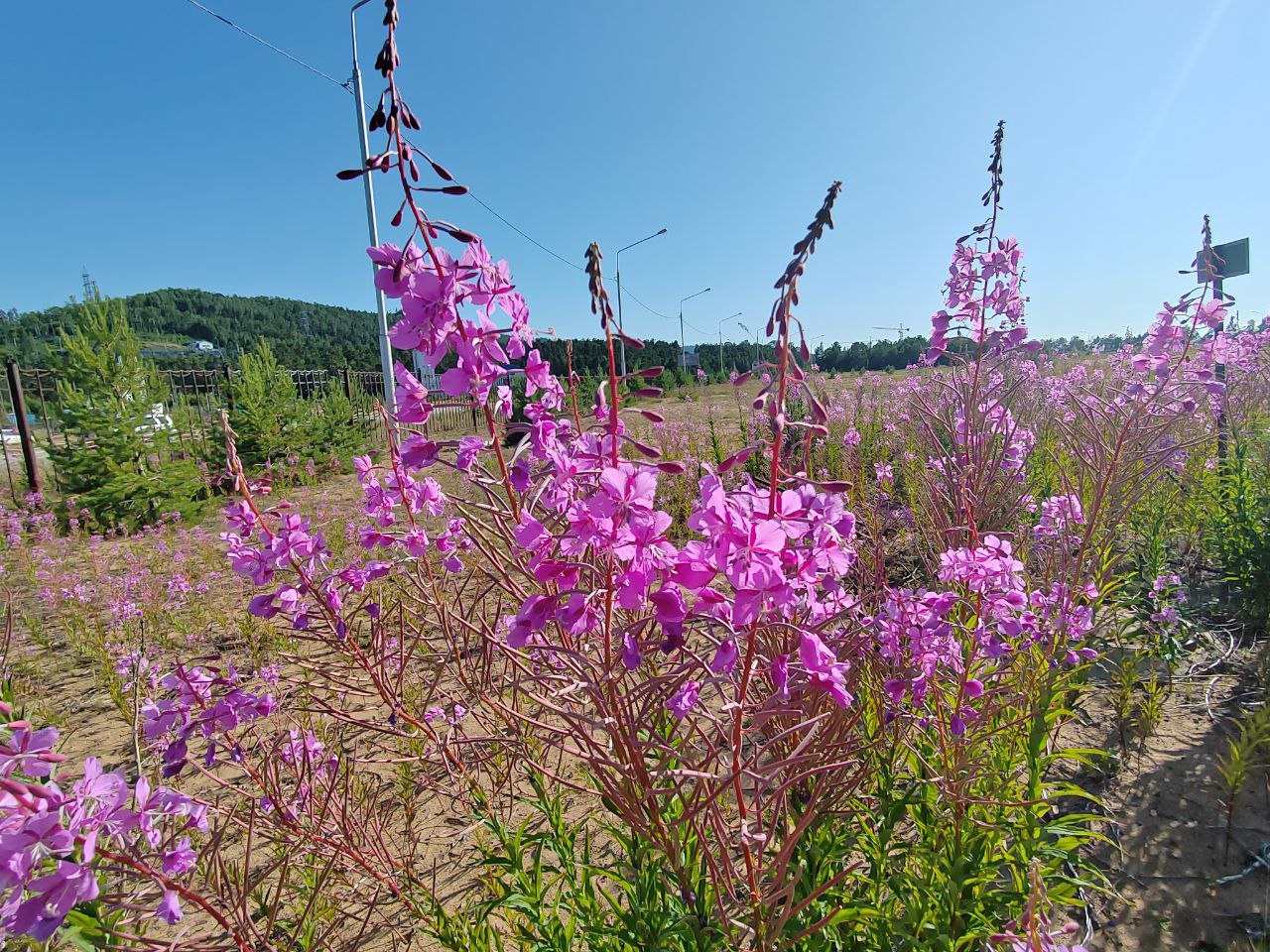 Фото Как получить путёвку в санаторий от Отделения Соцфонда по Бурятии