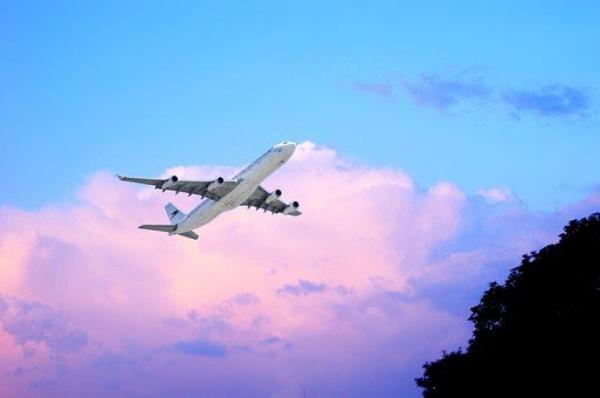 Фото Бурятия купит акции авиакомпании «Аврора» за 10 копеек