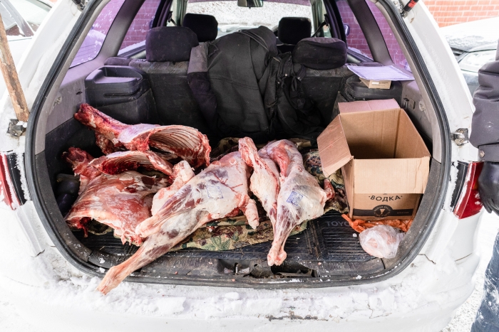 Фото В Бурятии обиженный алкоголик стащил мясо с животноводческой стоянки