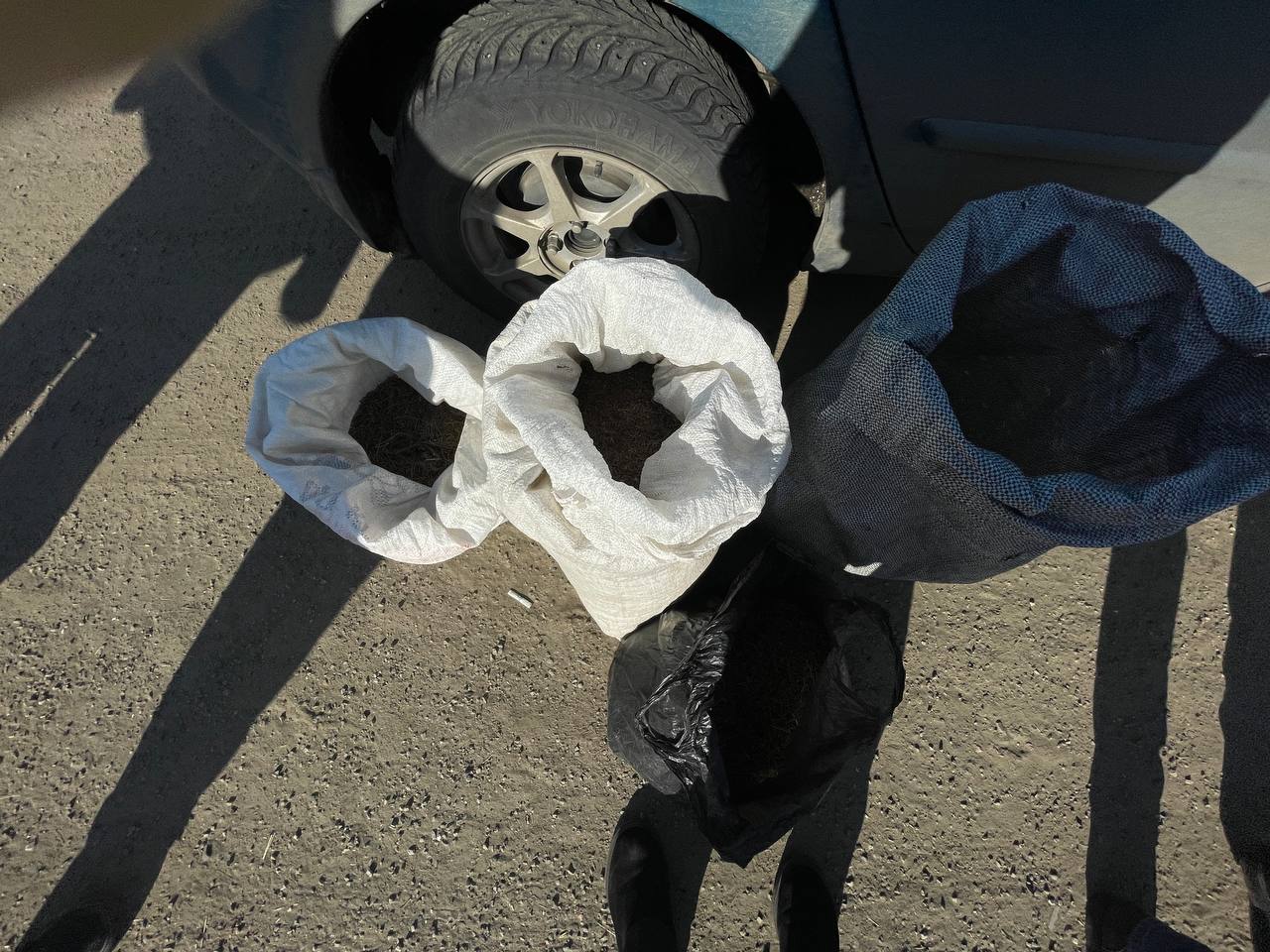 Фото В Бурятии задержан пассажир с мешками, набитыми запретной травой