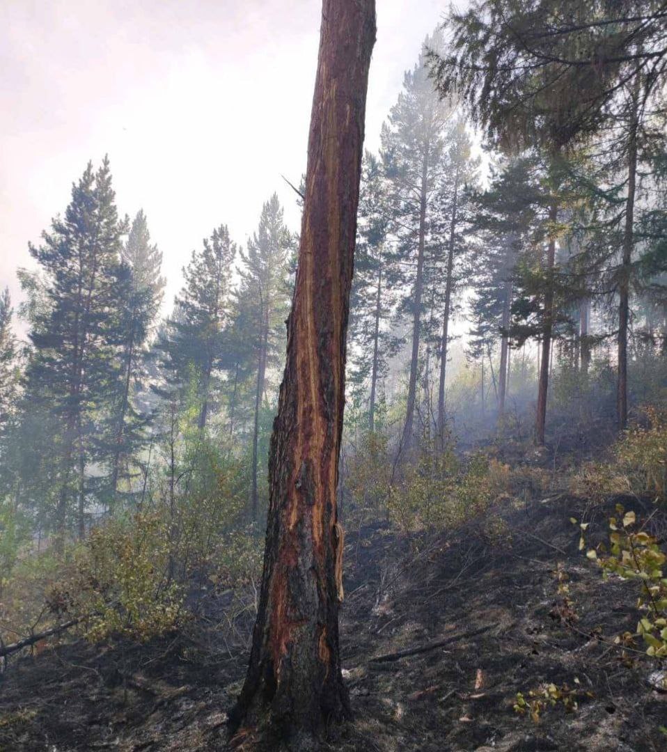 Фото В Бурятии справились со сложным лесным пожаром