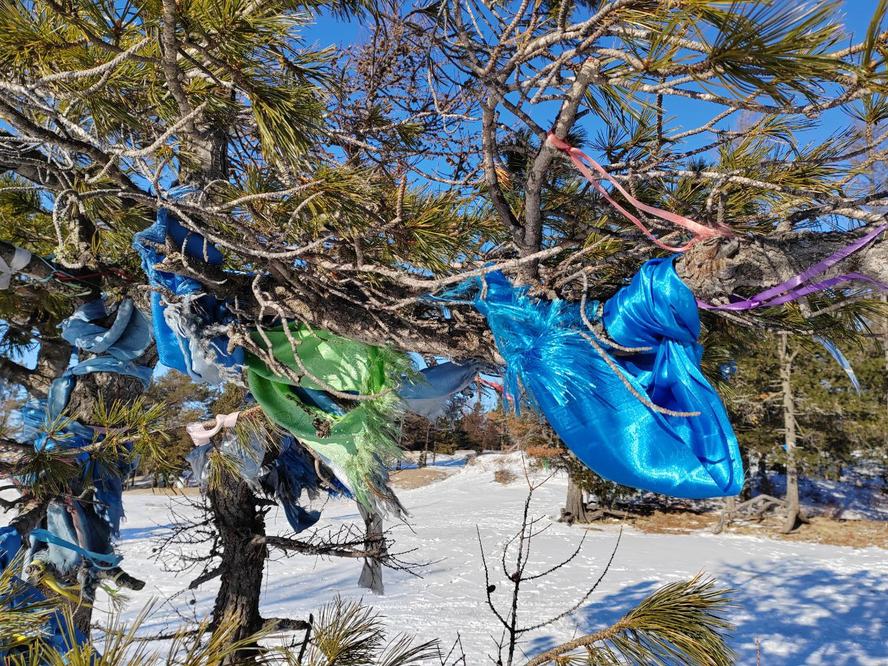 Фото В Бурятии стало известно расписание ритуалов Буддийской традиционной Сангхи к Цыгаалхе
