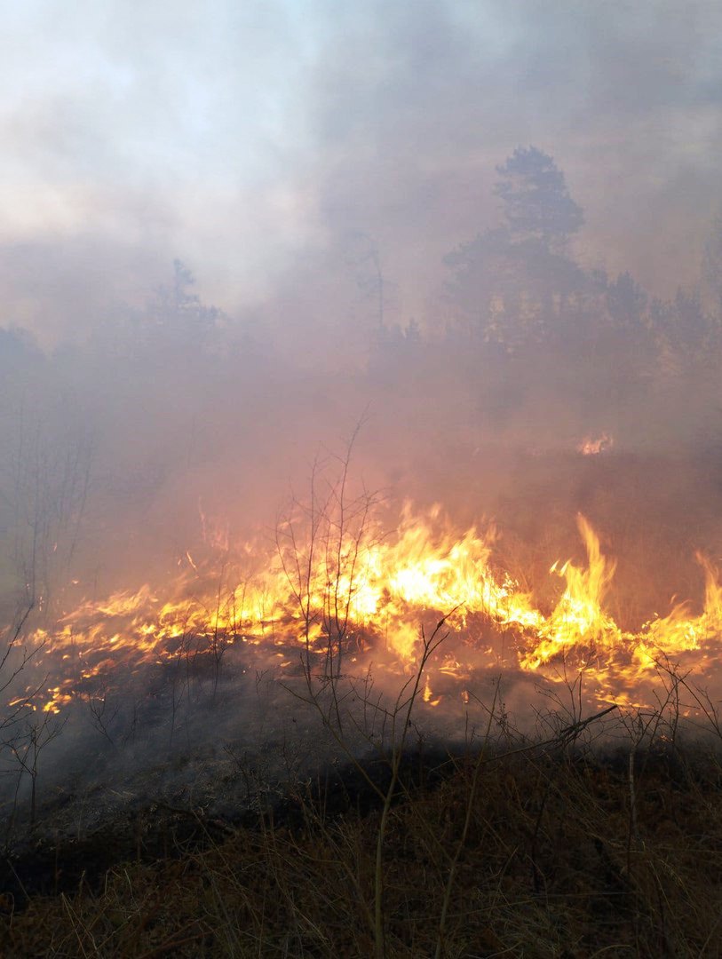 Фото Тункинский национальный парк в Бурятии пострадал от двух лесных пожаров