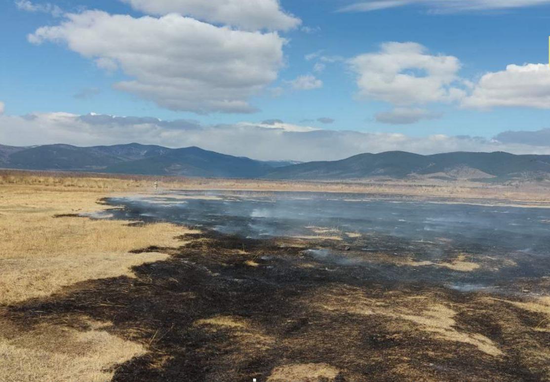 Фото За сутки в Бурятии загорелось 249 гектаров травы