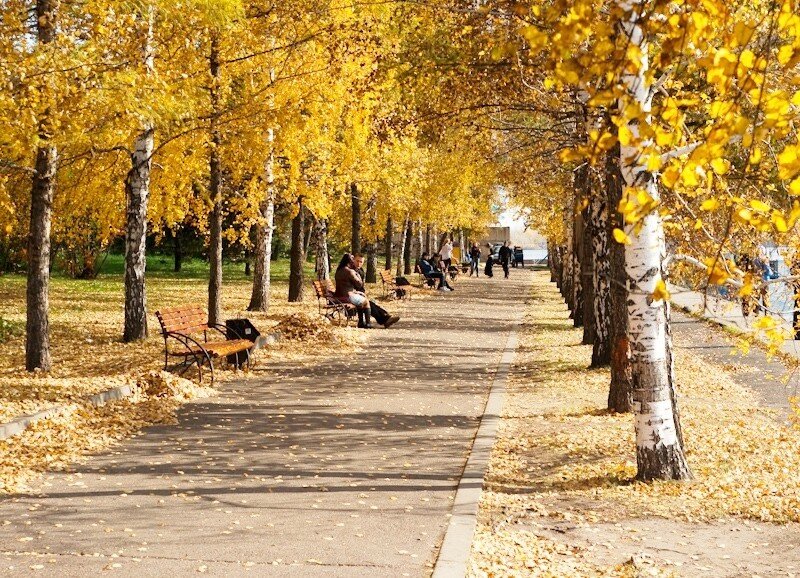 Фото В России ожидается аномально теплая середина октября