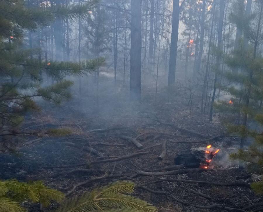 Фото В Бурятии начали гореть леса и поля