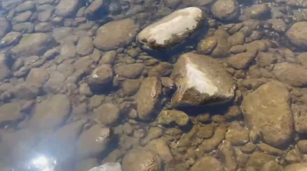 Фото Реку Снежная, которая впадает в Байкал, признали загрязненной