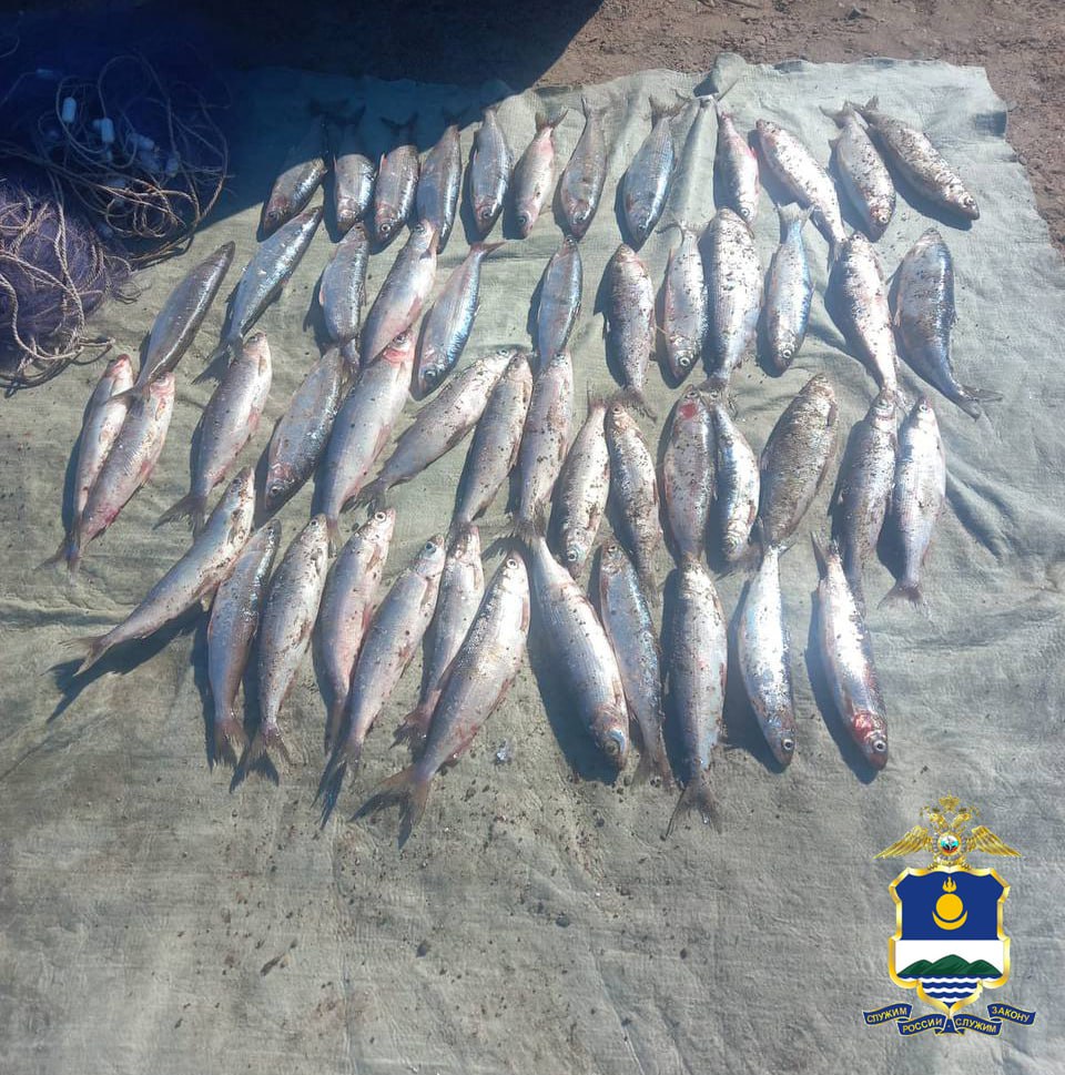 Фото В районе Бурятии браконьер угодил на "крючок" полиции