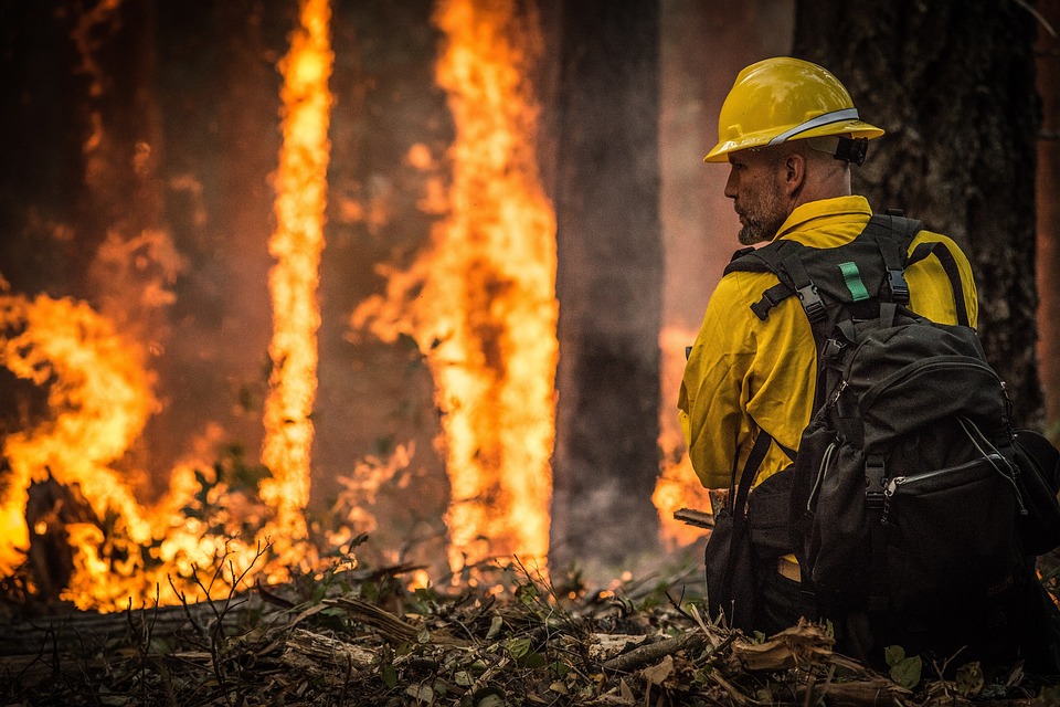 Фото В Бурятии тушат пять лесных пожаров