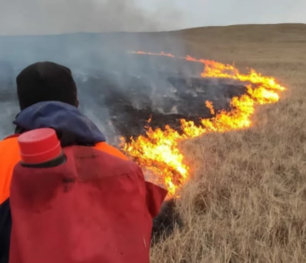 Фото 34 га в Бурятии пройдено огнем из-за пала травы