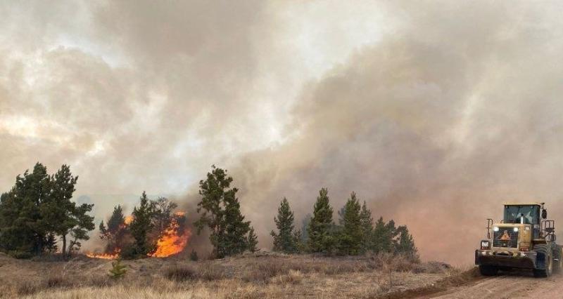 Фото В Бурятии пастух учинил лесной пожар на 180 га