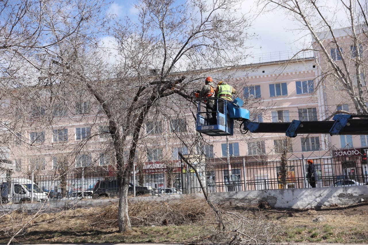 Фото В Улан-Удэ штрафуют за самовольную подрезку деревьев 