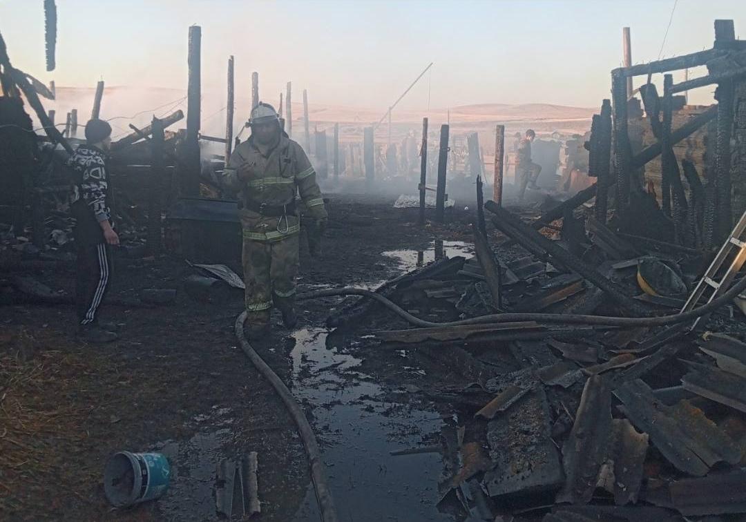 Фото В районе Бурятии дети сожгли надворные постройки на двух участках