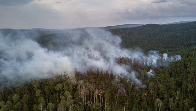 Фото В Бурятии горит 300 га леса