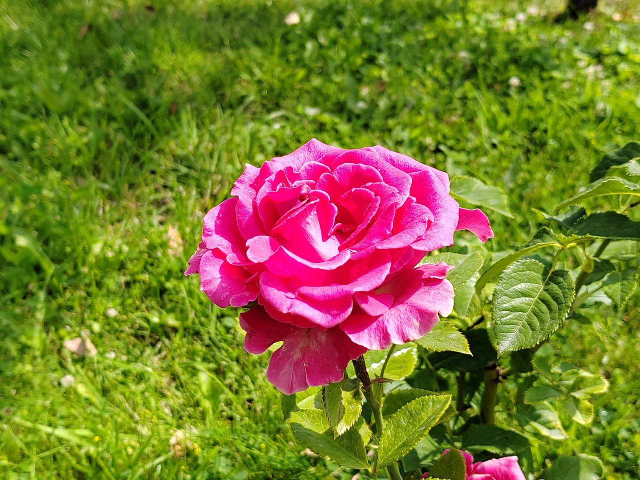 Фото Меньше месячной нормы осадков выпало в Бурятии в июле