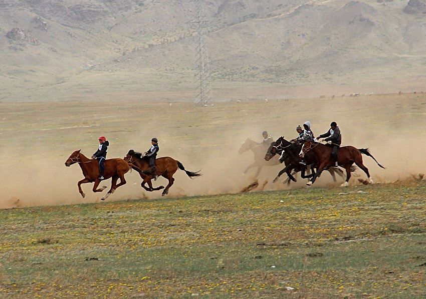 Фото В Иволгинском районе Бурятии состоится открытый турнир по конным скачкам