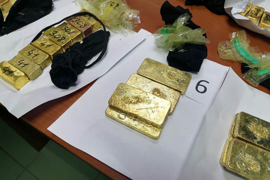 Фото В Забайкалье пресекли контрабанду более 26 кг золотых слитков в Китай