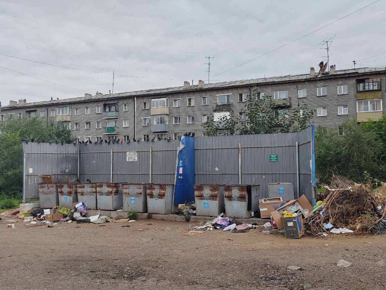 Фото ФАС не допустила роста тарифов на вывоз ТКО в Бурятии 