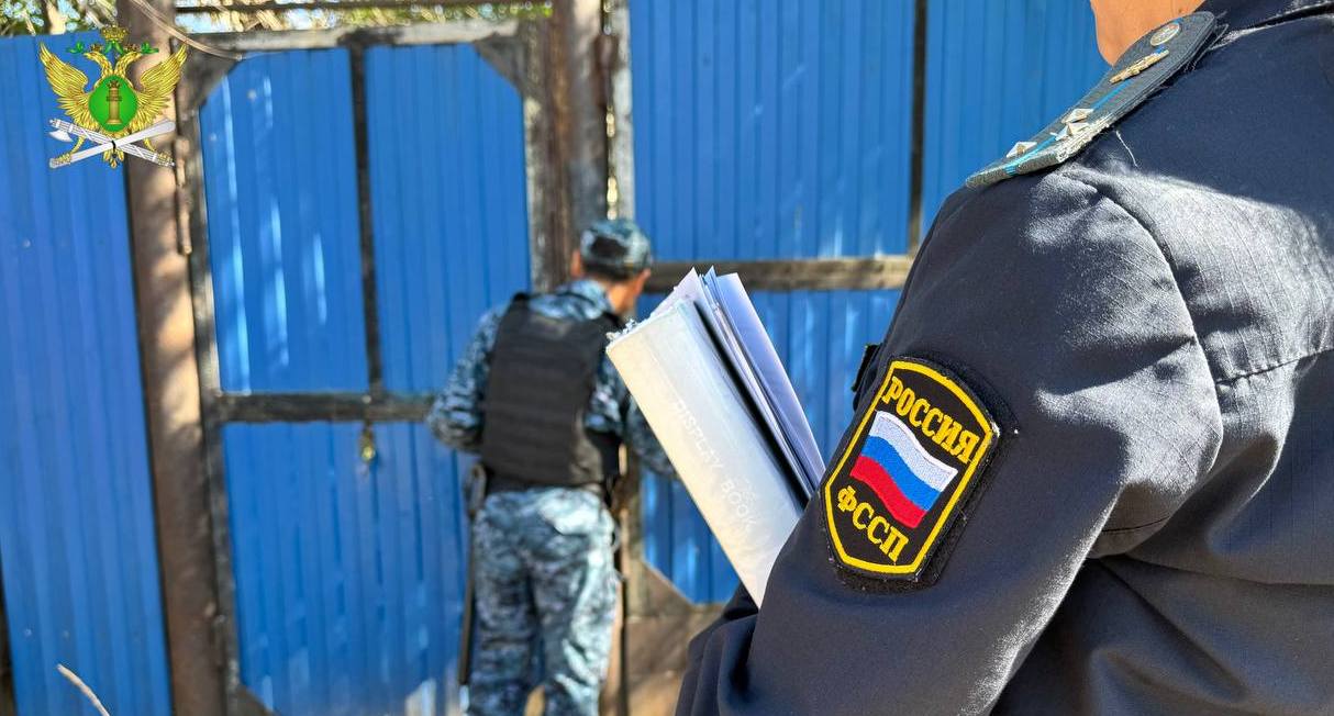 Фото В Бурятии посчитали, сколько денег задолжали родители по алиментам