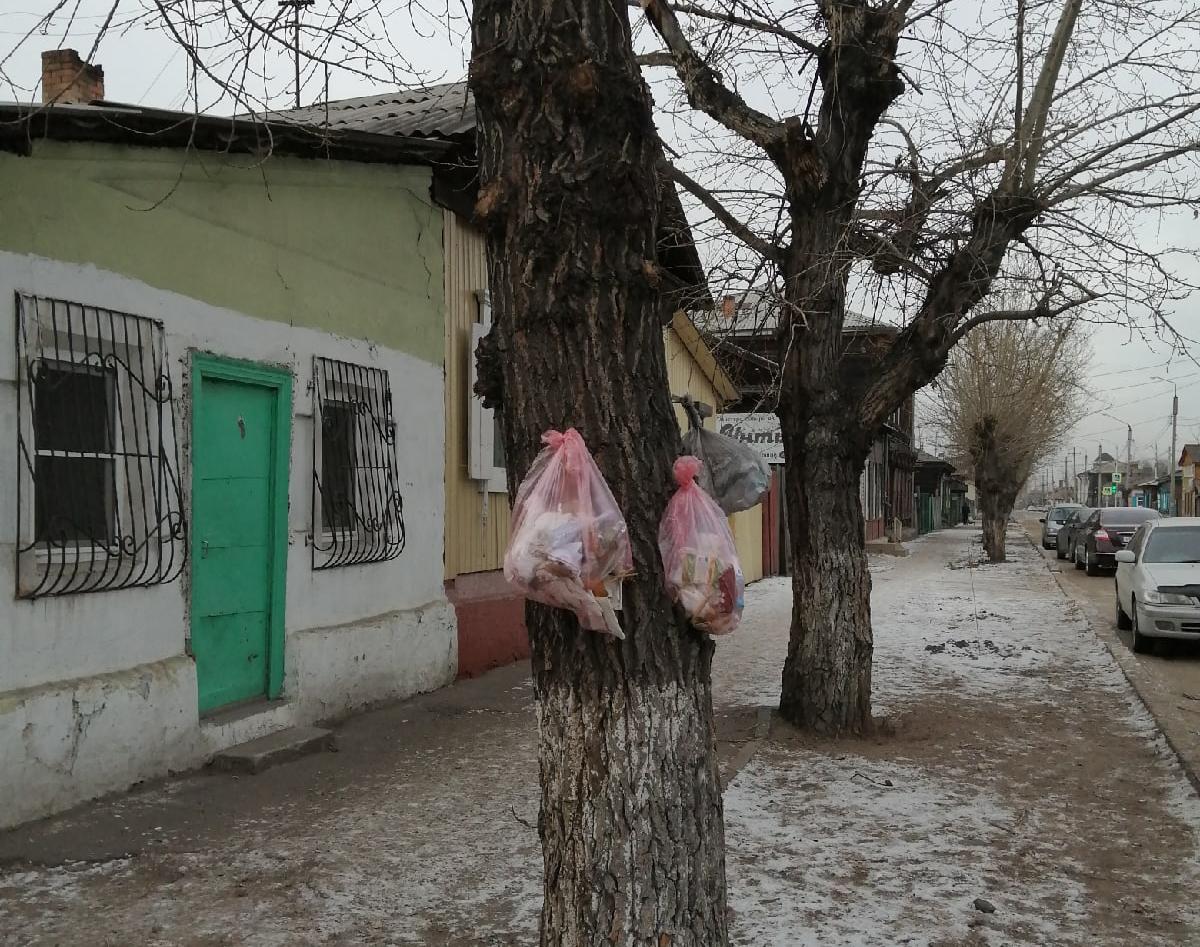 Фото В центре Улан-Удэ на деревьях «вырос» мусор (ФОТО)