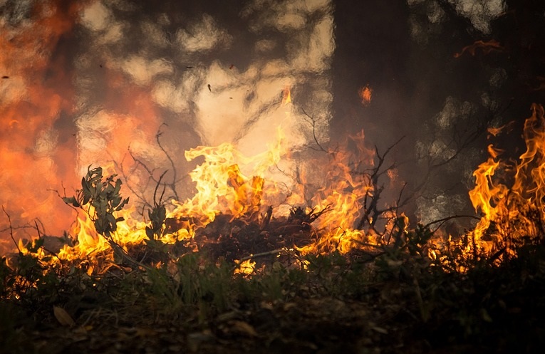 Фото В Бурятии из-за непотушенной сигареты сгорел лес