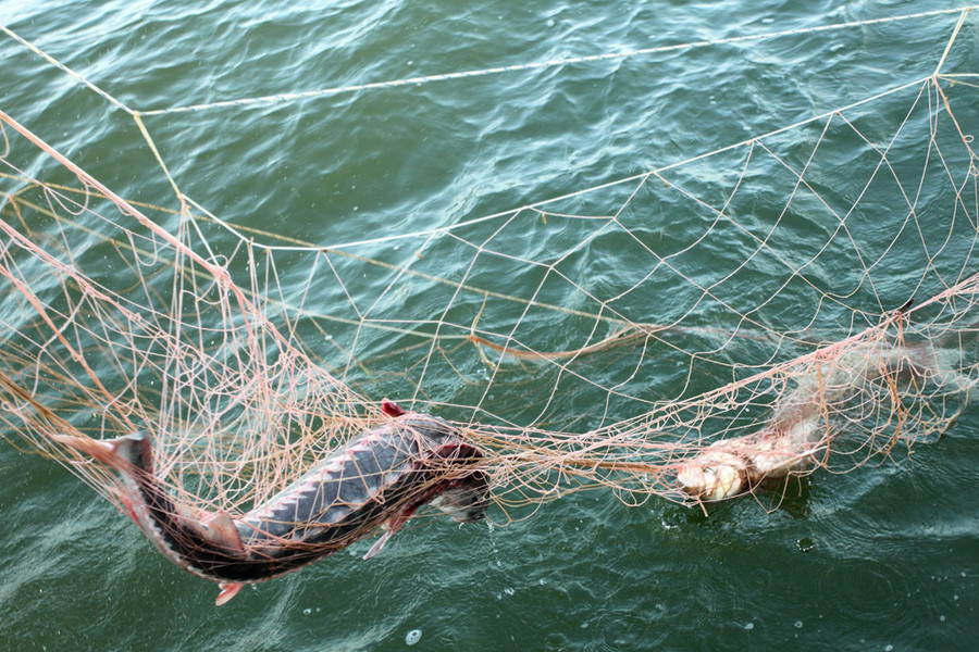 Фото Эксперты: Дно Байкала покрыто рыболовецкими сетями