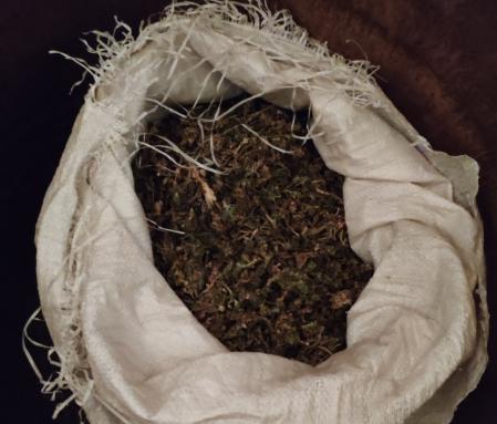 Фото В Бурятии у работника фермы изъяли 6 кг марихуаны (ФОТО)