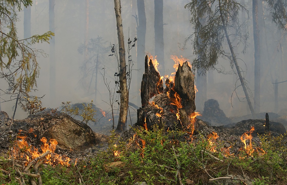 Фото В Бурятии локализовали 2 лесных пожара