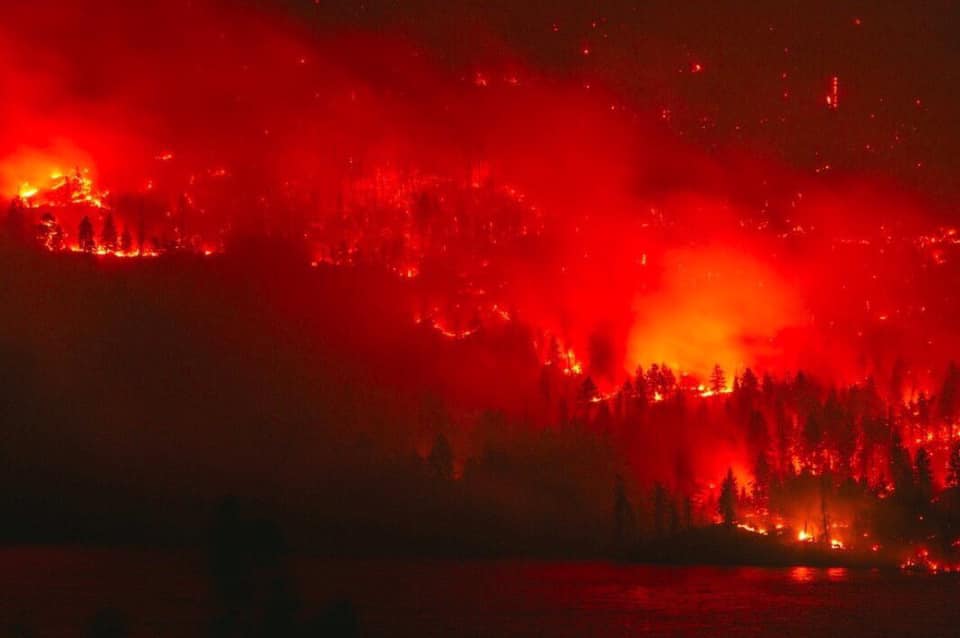 Фото Медведев поручил взять под контроль ситуацию с лесными пожарами в Сибири