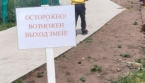 Фото В Баргузинском районе Бурятии гадюка заползла прямо во двор дома