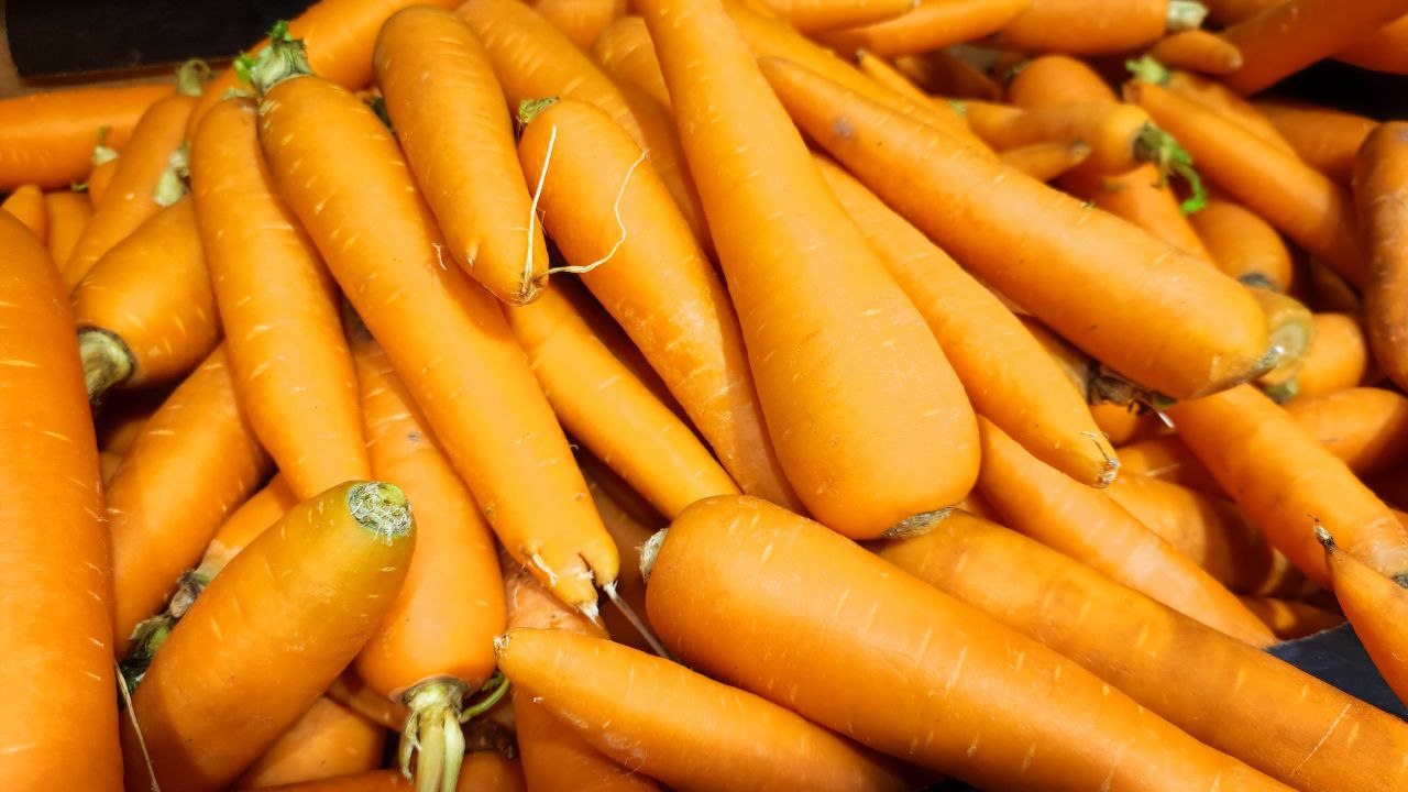 Фото Опасные сорняки в семенах морковки нашли в одном из магазинов Улан-Удэ