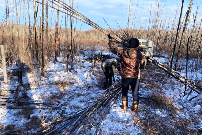 Фото На севере Бурятии стражи порядка помогли дацану в подготовке Дугжуубы