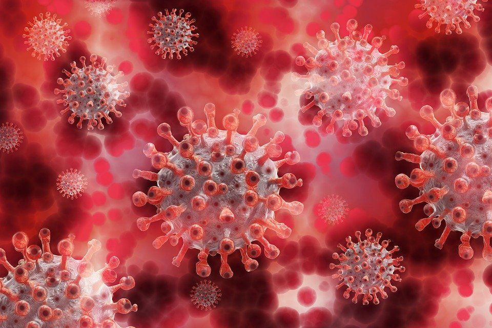 Фото Количество заболевших коронавирусом в Бурятии увеличилось на 1407 человек