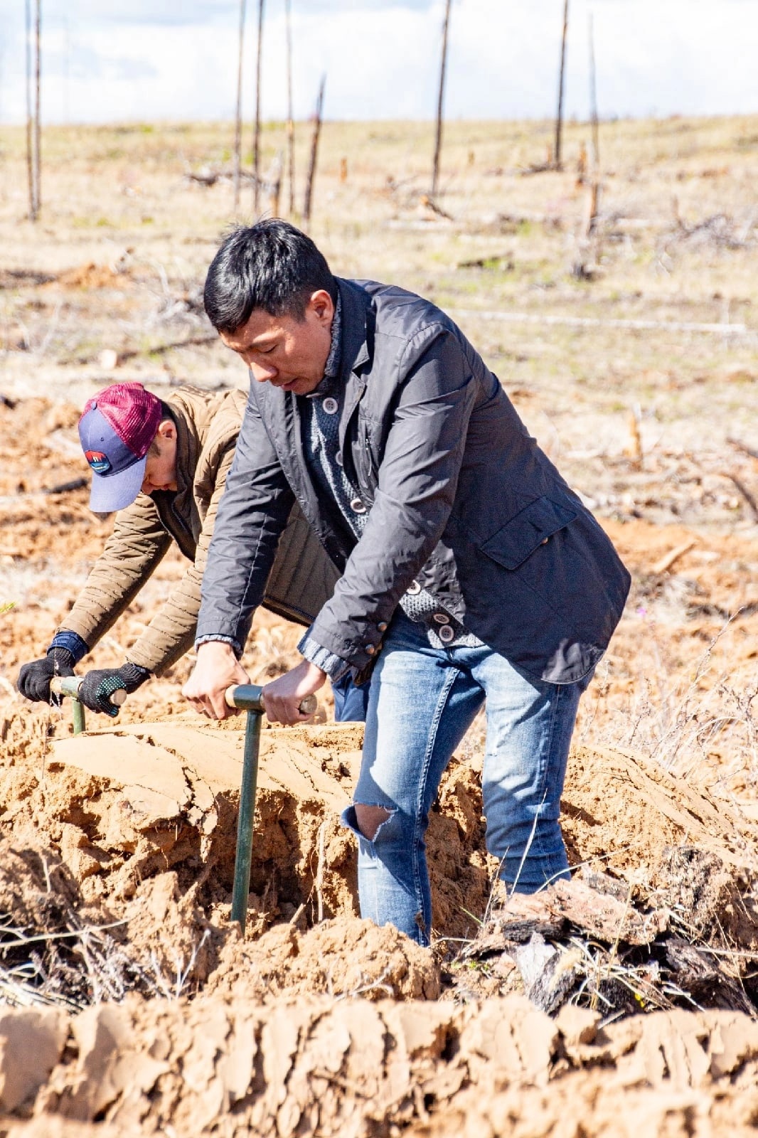 Фото В районе Бурятии планируют посадить тысячи деревьев