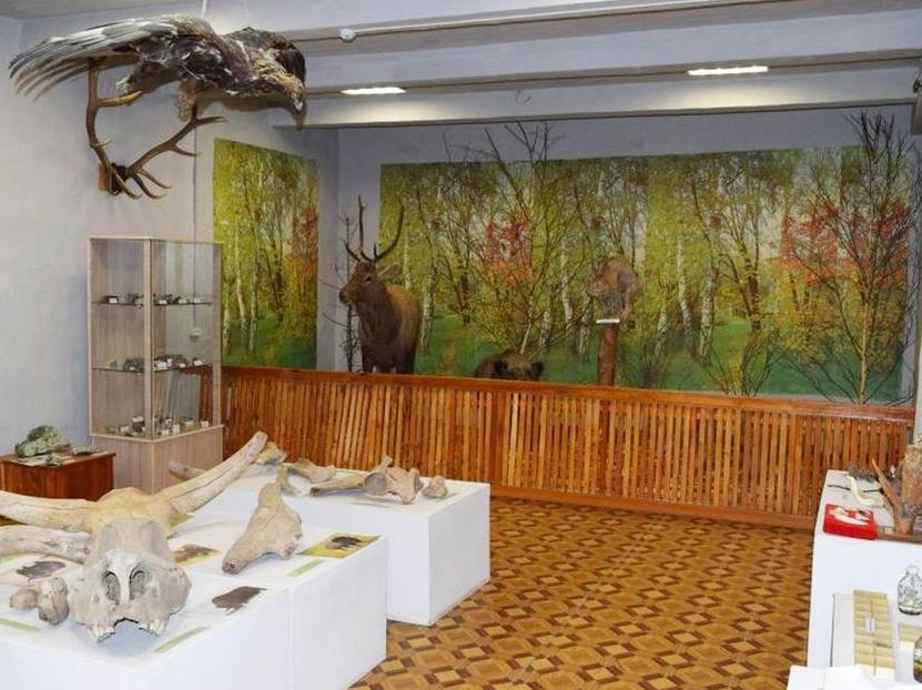 Фото В Бурятии произошел скандал с переименованием Джидинской картинной галереи в краеведческий музей