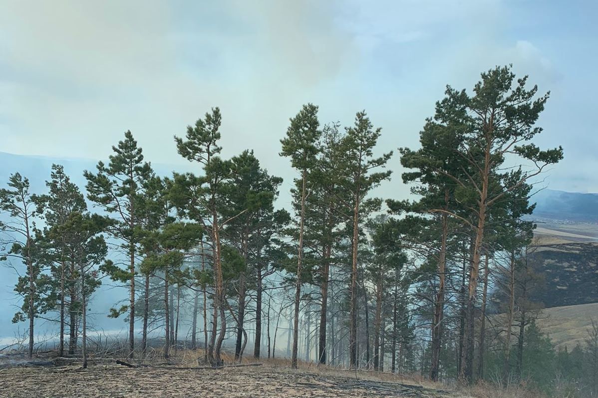 Фото В Иволгинском районе Бурятии тушили гектар лесного пожара