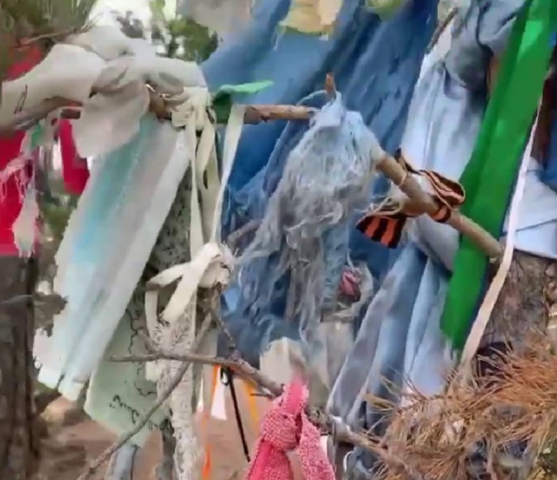 Фото Носки, трусы и маски: жители Бурятии возмущены предметами, «украсившими» деревья на горе «Спящий лев»
