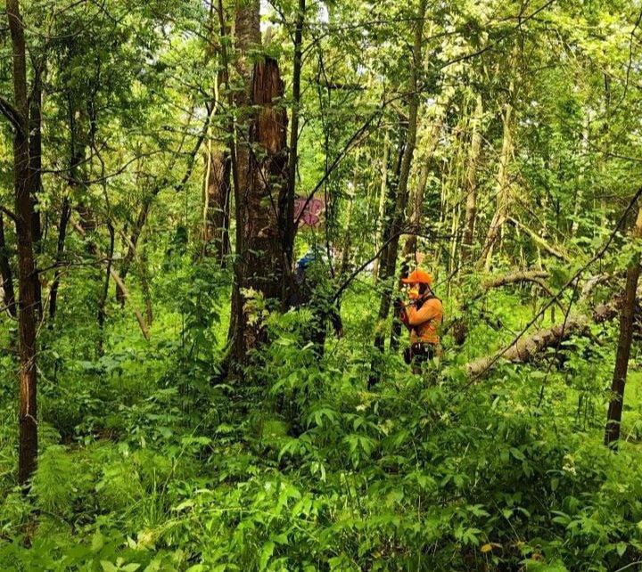 Фото Доброволец ЛизаАлерт из Бурятии помог спасти мужчину в лесу подмосковья