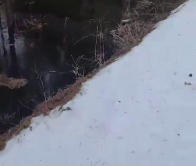 Фото Опасная вода: в Улан-Удэ рядом с питьевой скважиной нашли огромную лужу мазута