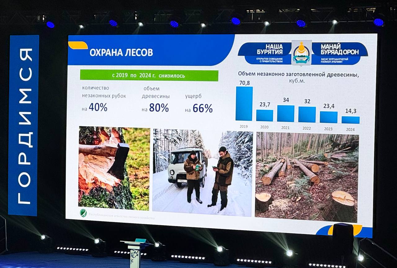 Фото В Бурятии стремительно сокращается число «чёрных» лесорубов