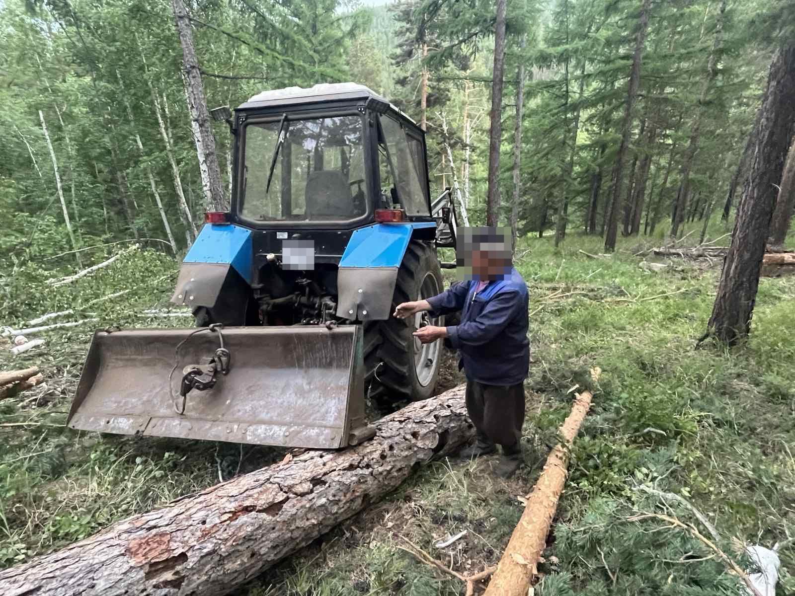 В Иволгинском районе Бурятии на деляне погиб лесоруб | 22.06.2024 | Новости  Улан-Удэ - БезФормата