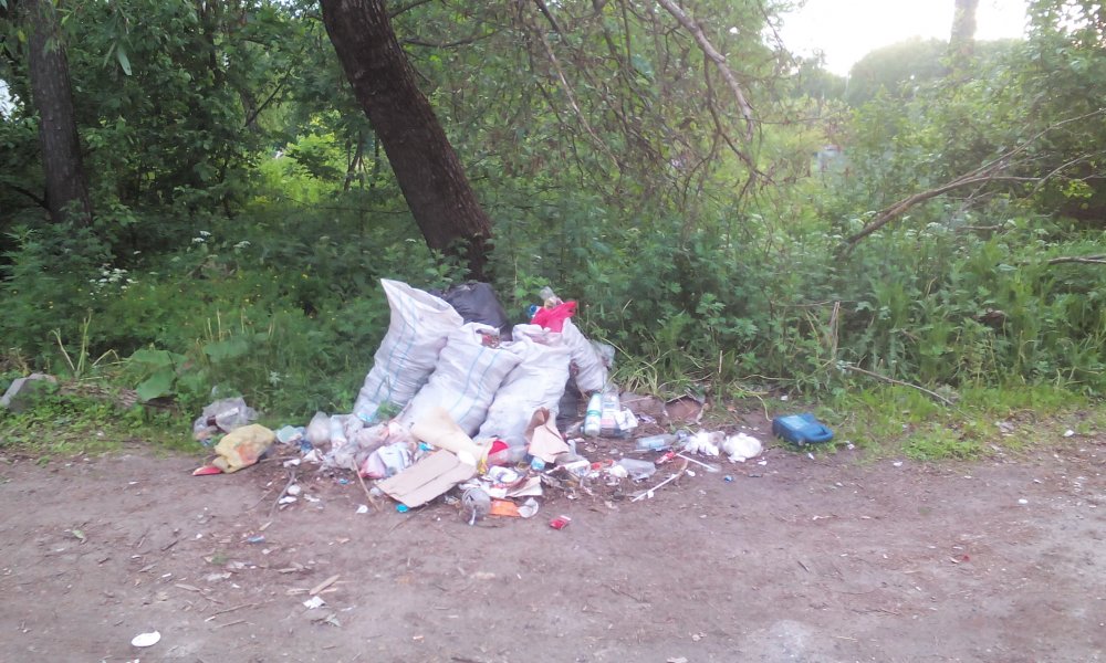 Фото Школьники уберут мусор за маршрутчиками на остановке в Чите