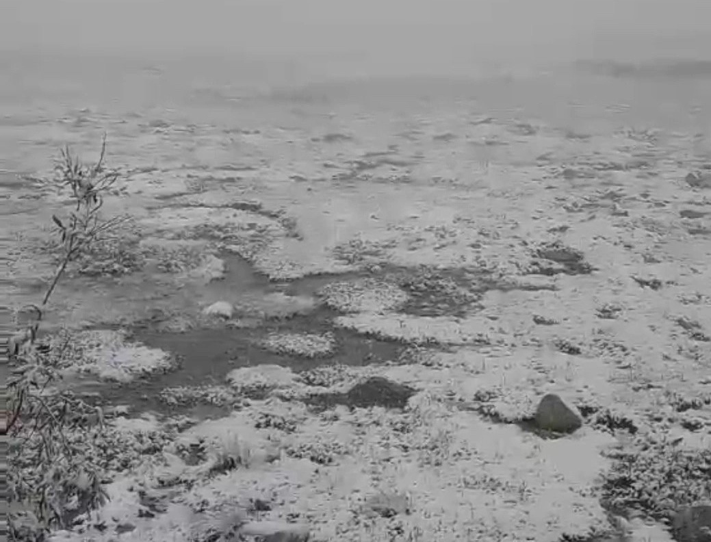 Фото В одном из районов Бурятии в горах выпал снег