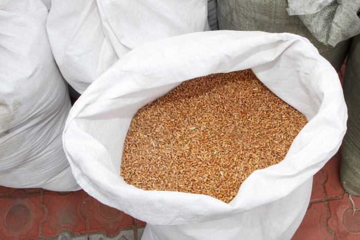 Фото В Бурятии направят дополнительно 10,4 млн рублей на поддержку производителей зерна