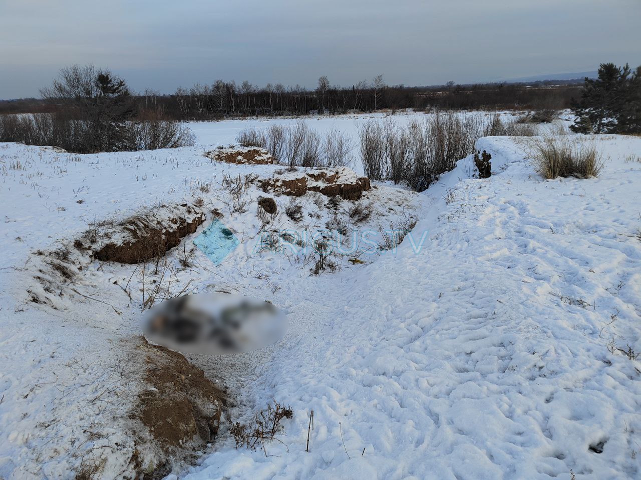 Фото Администрация бурятского поселка отправилась на поиски кладбища собак