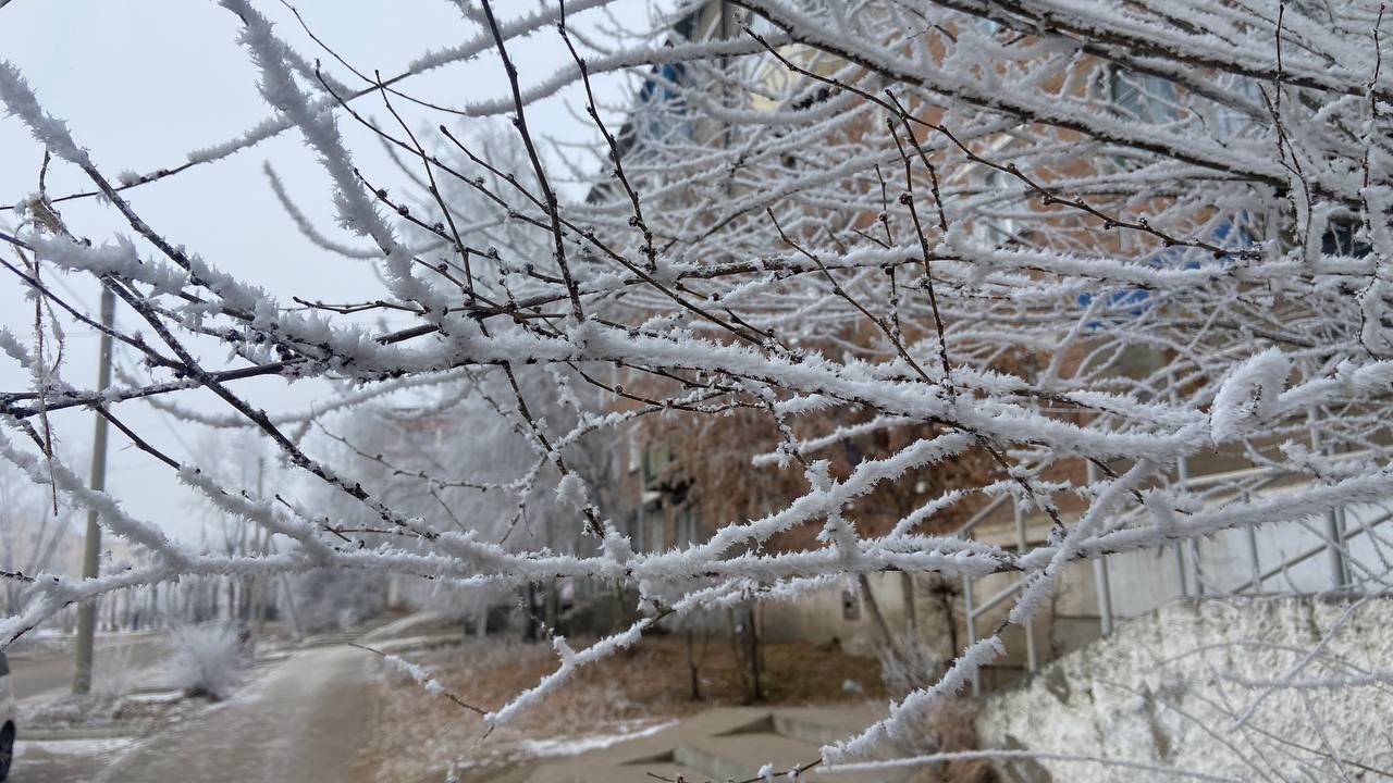 Фото Погода в Бурятии 25 ноября 2023 года	