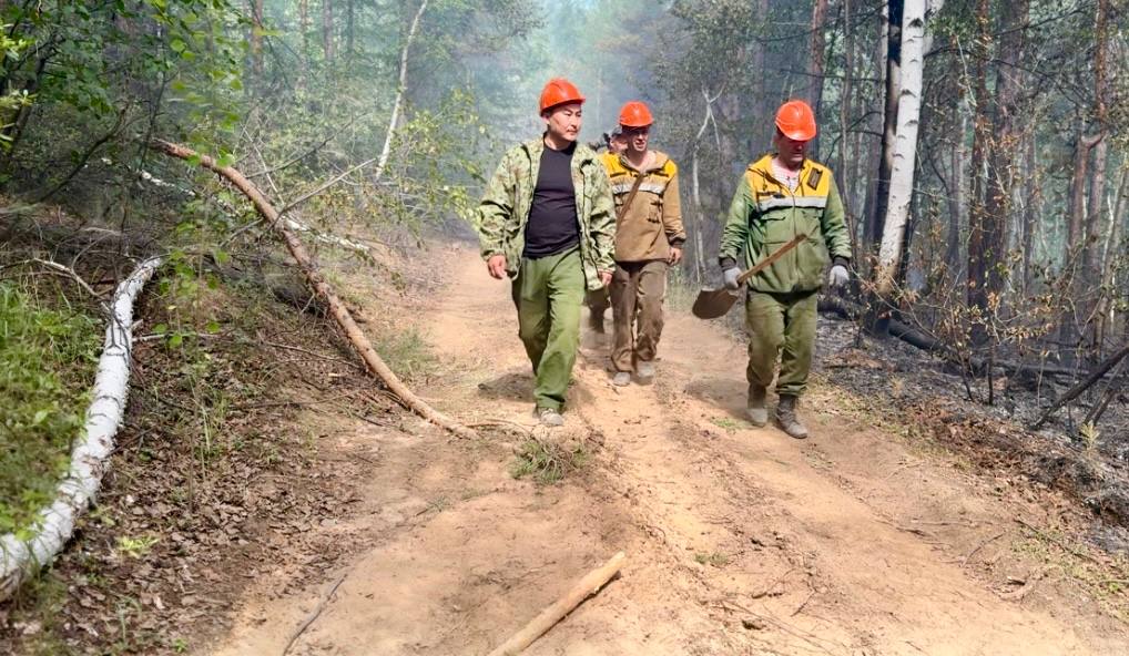 Фото Республиканское агентство лесного хозяйства объявило набор лесных пожарных