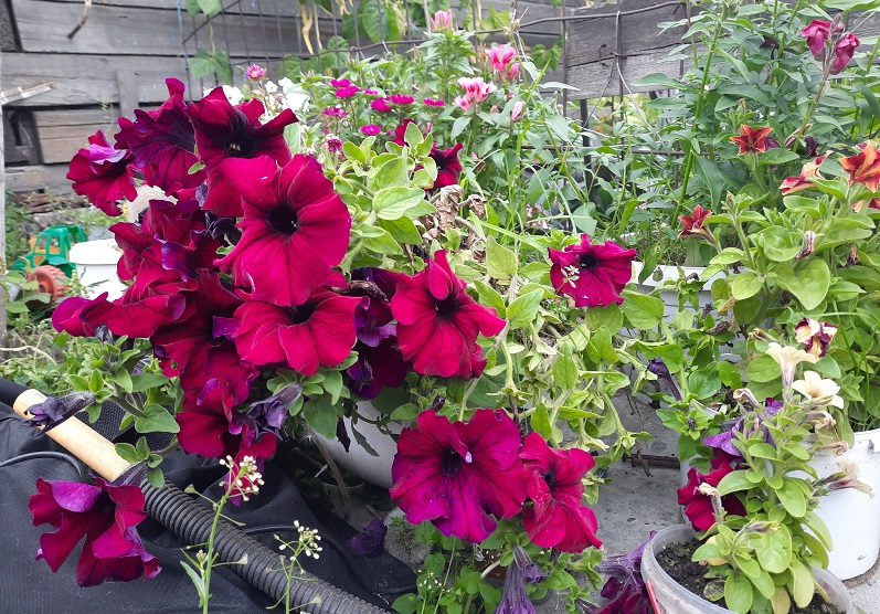 Фото Бурятия. Погода на 26 сентября 2022 г.